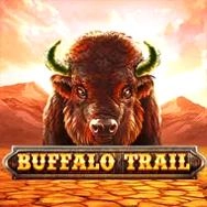 Buffalo-Trail